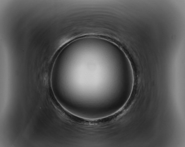 X0000085791505200703231256