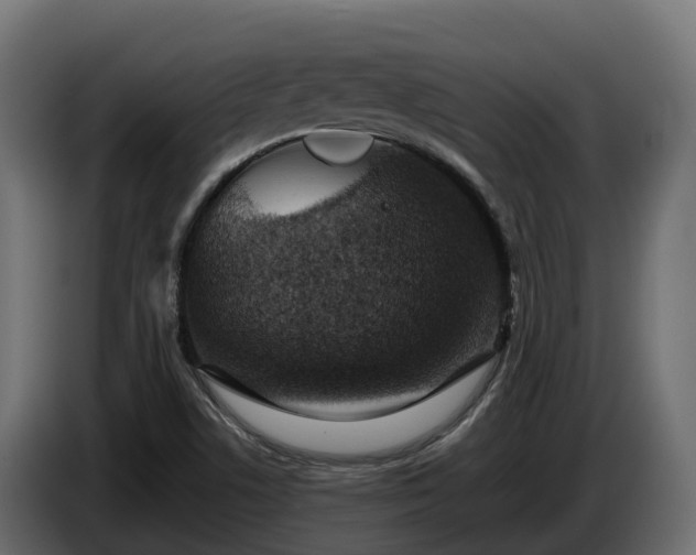 X0000085791506200703231256