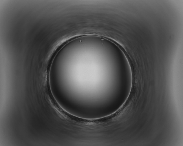 X0000085791507200703231256