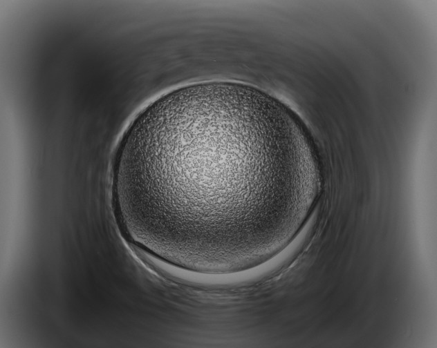 X0000085791508200703231256