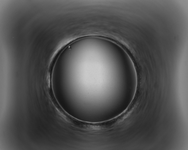 X0000085791509200703231256