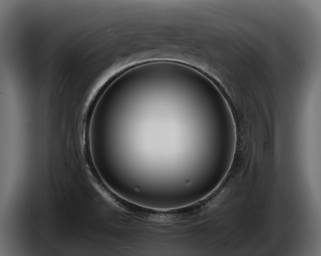 X0000085791511200703231256