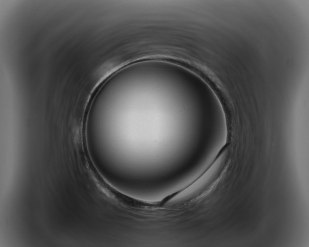 X0000085791513200703231256