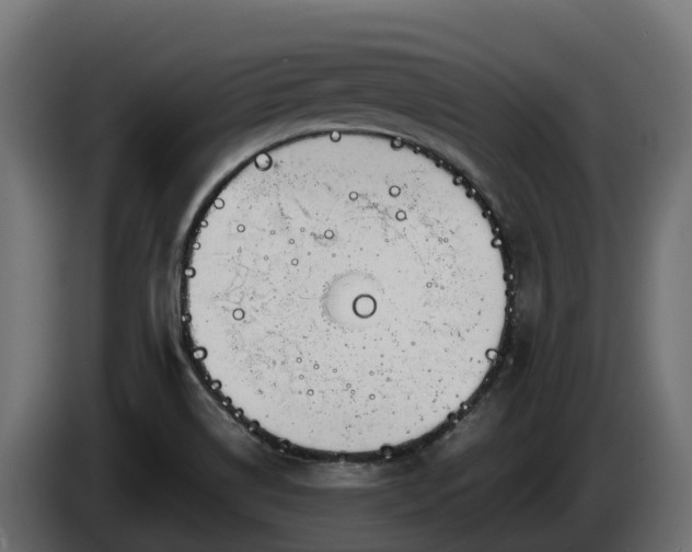 X0000085791514200703231256