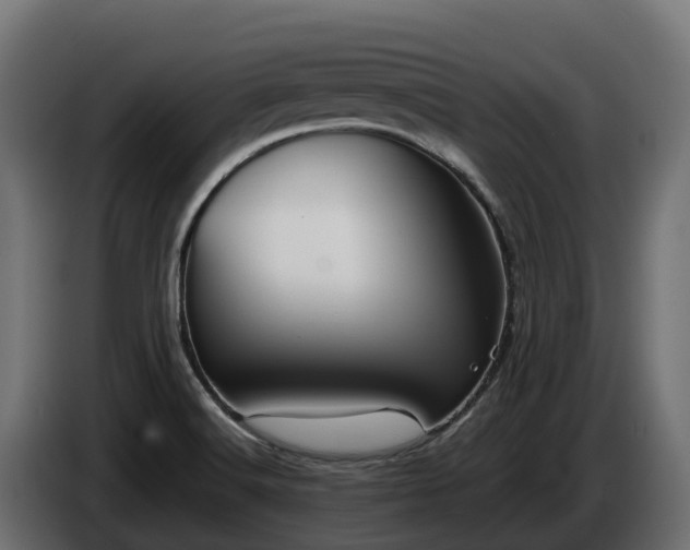 X0000085791516200703231256