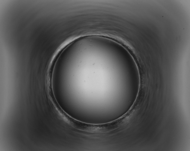 X0000085791517200703231256