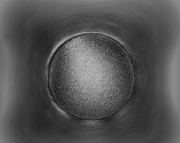 X0000085791519200703231256