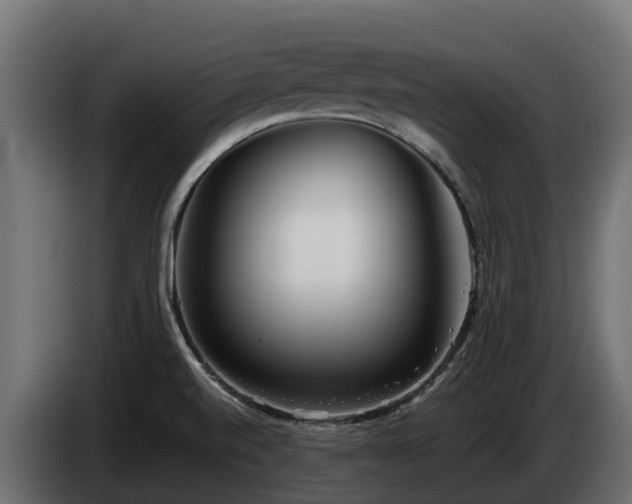 X0000085791520200703231256