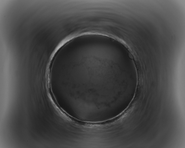 X0000085791522200703231256
