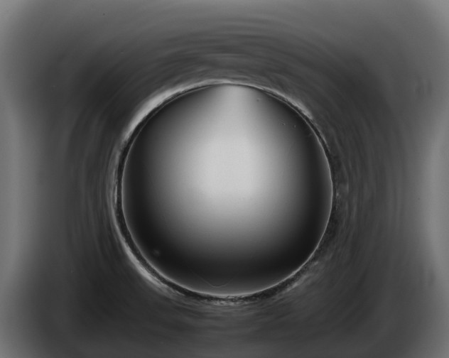 X0000085791523200703231256