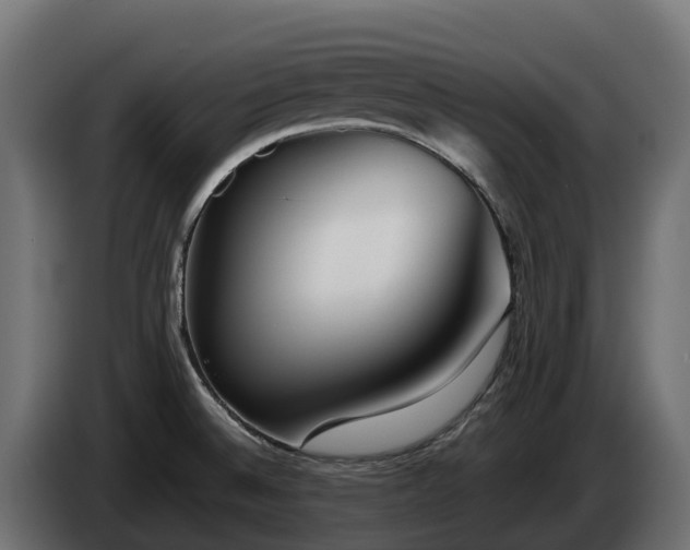 X0000085791524200703231256