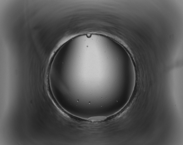 X0000085791525200703231256