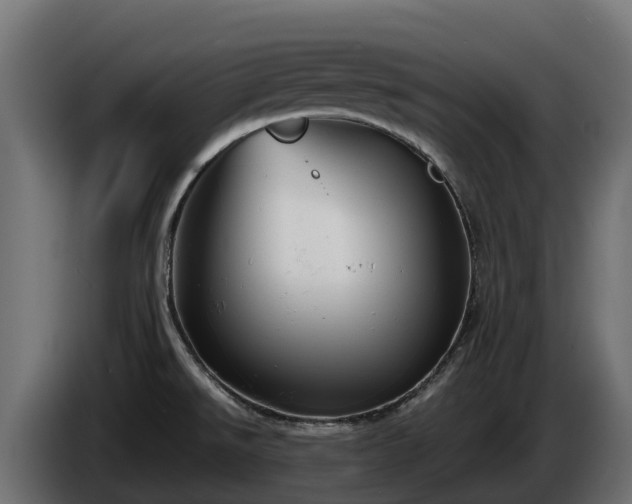 X0000085791526200703231256