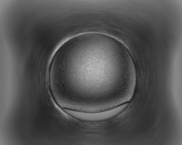 X0000085791527200703231257