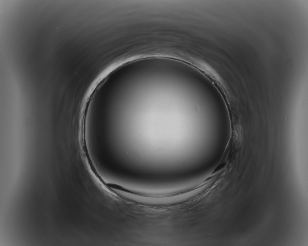 X0000085791528200703231257