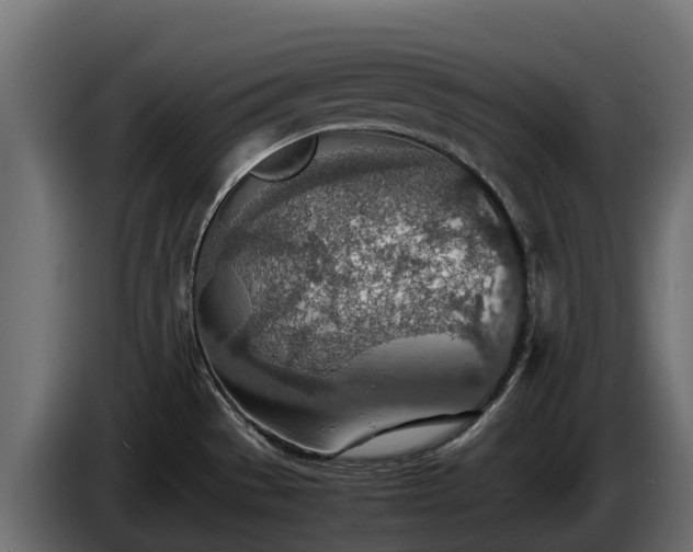 X0000085791529200703231257