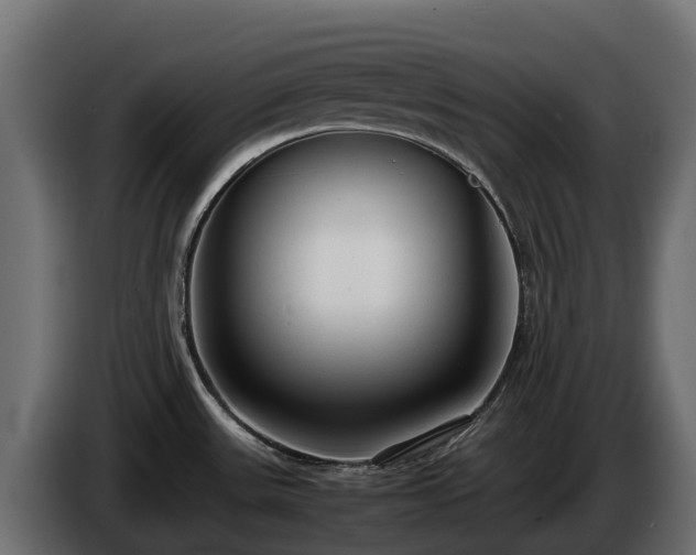 X0000085791531200703231257
