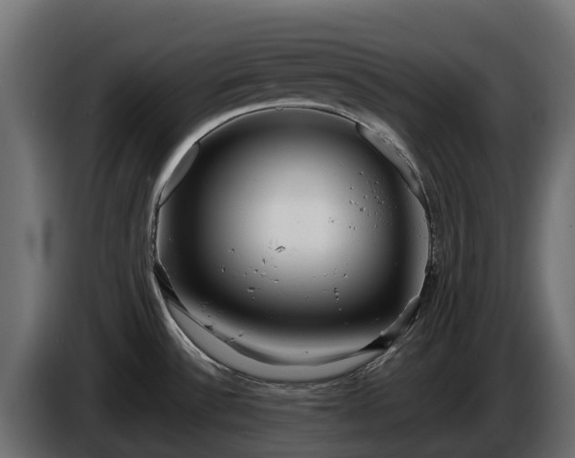 X0000085791532200703231257