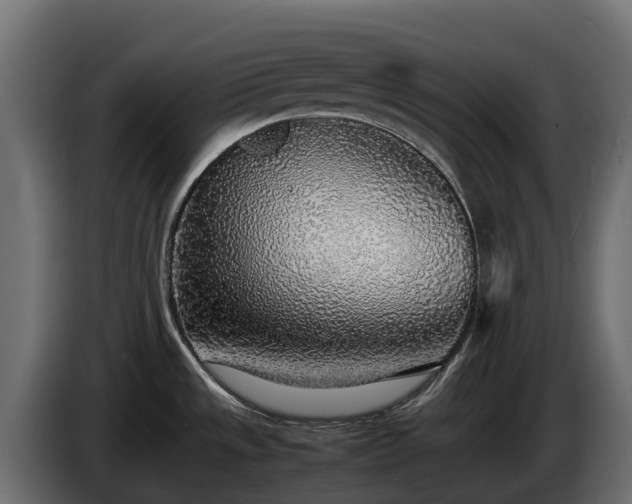 X0000085791533200703231257