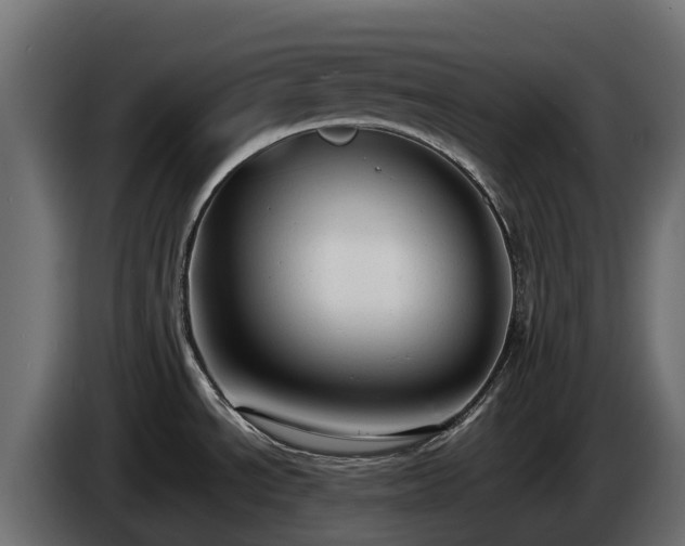 X0000085791534200703231257
