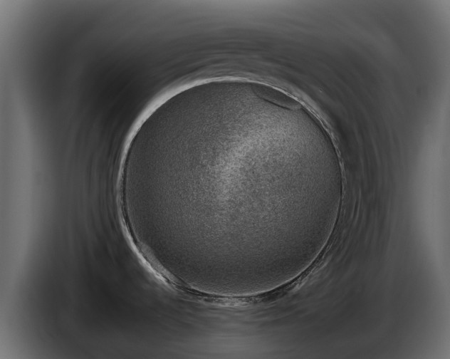 X0000085791536200703231257