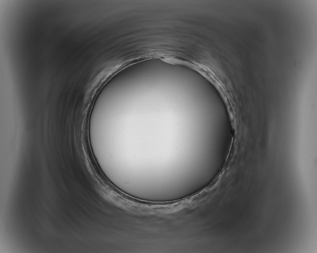 X0000085790001200703301501