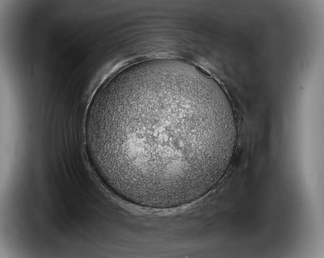 X0000085790002200703301501