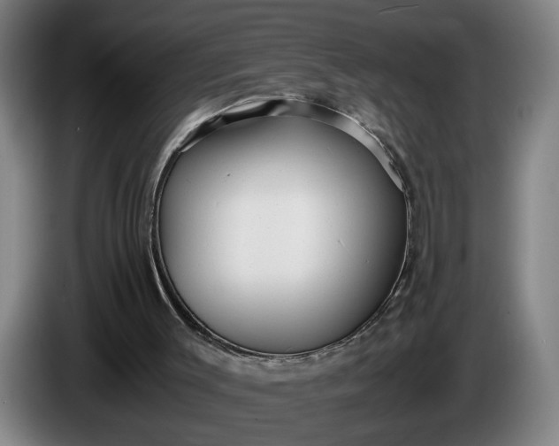 X0000085790003200703301501