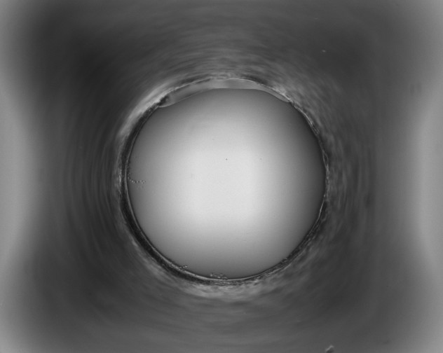 X0000085790005200703301501