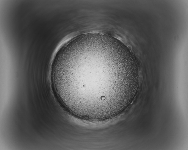 X0000085790006200703301501