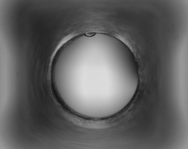X0000085790008200703301501