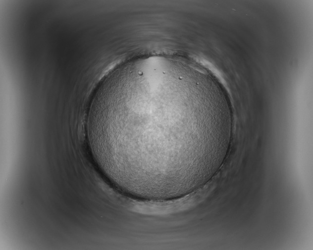 X0000085790009200703301501