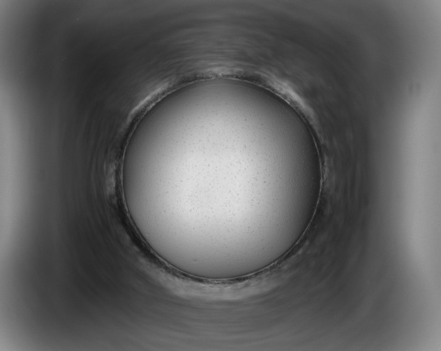 X0000085790010200703301501