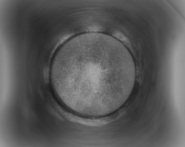 X0000085790012200703301501
