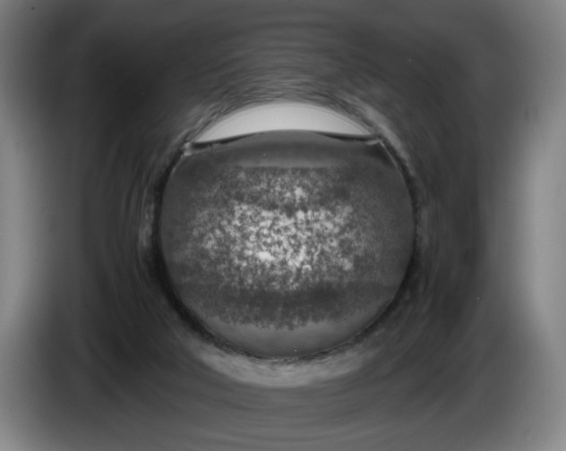 X0000085790018200703301501