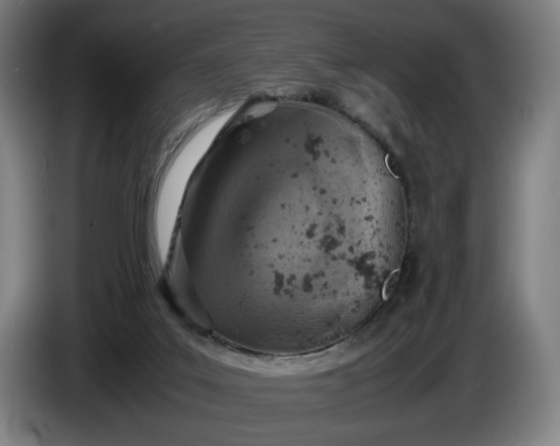 X0000085790019200703301501