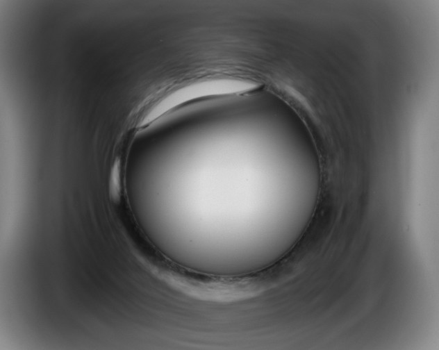 X0000085790020200703301501