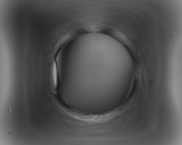 X0000085790023200703301501