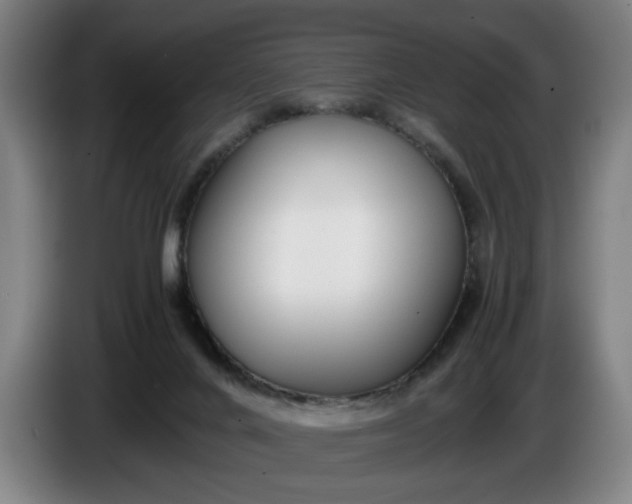 X0000085790024200703301501