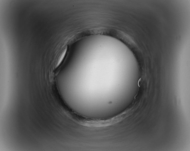 X0000085790025200703301501