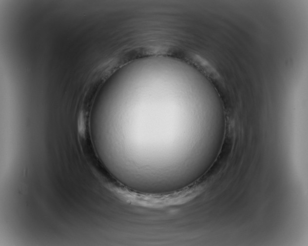 X0000085790026200703301501