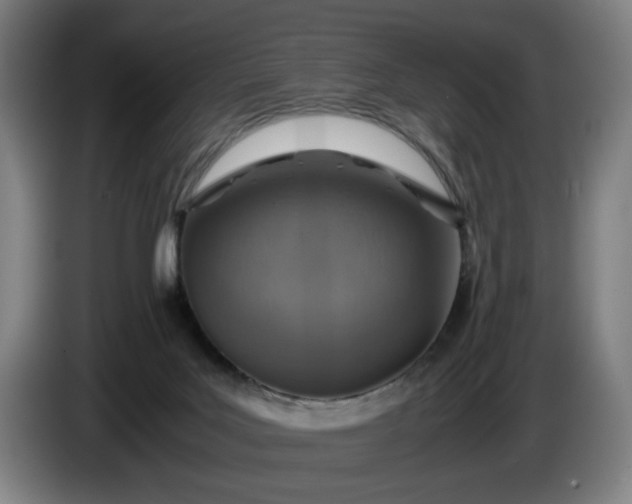 X0000085790027200703301501