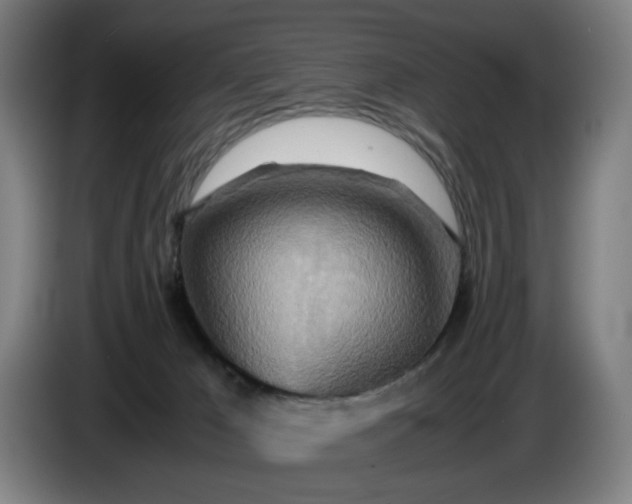 X0000085790029200703301501