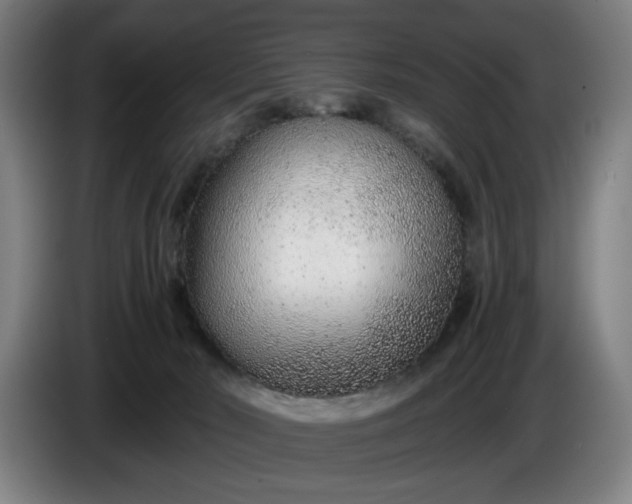 X0000085790030200703301501