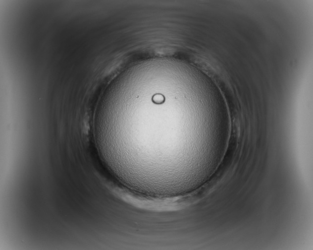 X0000085790032200703301501