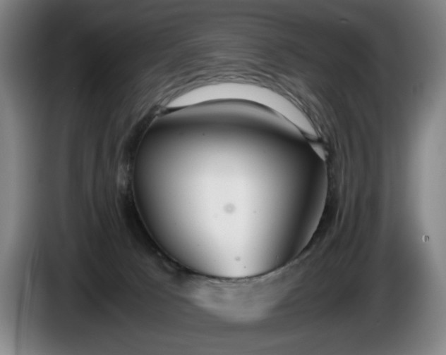X0000085790033200703301501