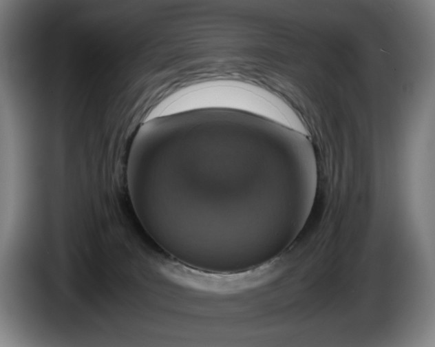 X0000085790035200703301501