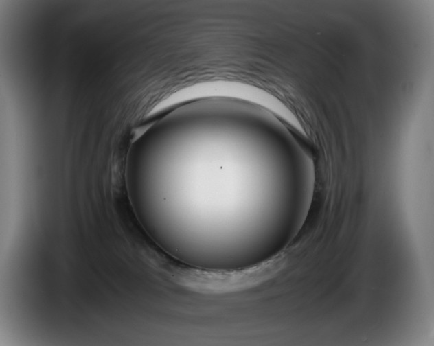 X0000085790037200703301501