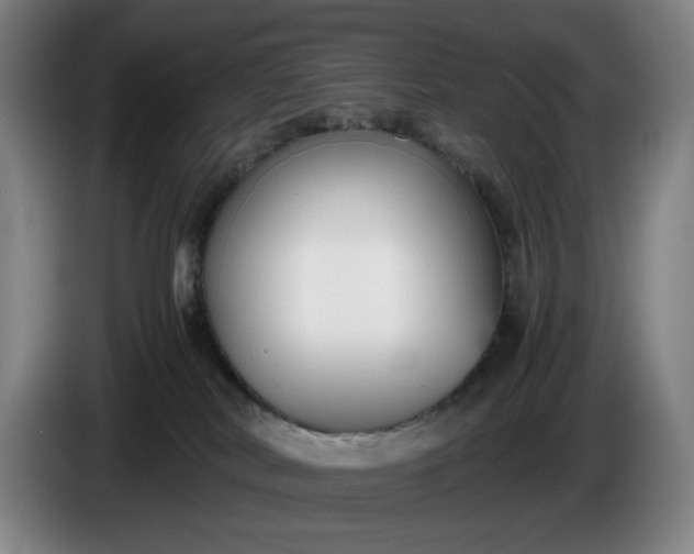 X0000085790038200703301501