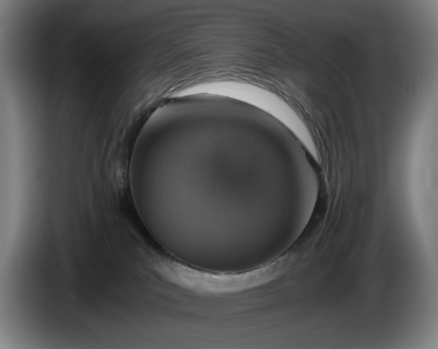 X0000085790039200703301501